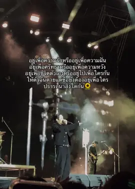 อยู่เพื่อความรัก…🌻#ปราถนาสิ่งใดฤา #ค็อกเทล #ศรีสะเกษ #cocktail #cocktail77 