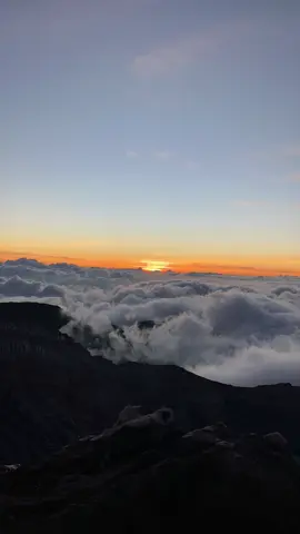 gunung extreme dengan beribu keindahan #mountain#dempopagaralam#pendakigunung#pendakiindonesia #fyppppppppppppppppppppppp