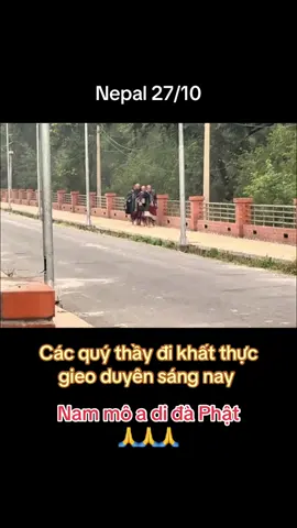 Các quý thầy đi khất thực 27/10 #suminhtue #thayminhtue #minhtue #suminhtuemoinhat #thichminhtue 