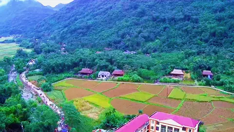 ####TikTokAwardsVN #tiktokindia #xuhuongtiktok 