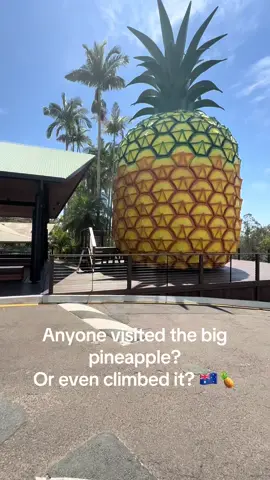 Anyone visited the big pineapple on the Sunshine Coast in Queensland??  Or better yet, climbed it???  Such a cool activity to break up a journey! There’s a cafe on site for a coffee and a nibble and even a zoo!  Anybody else lucky as these Find My Campsite members and spending their Monday exploring giant fruit?  #bigpineapple #sunshinecoast #australiatravel #vanlifetravel #findmycampsite 