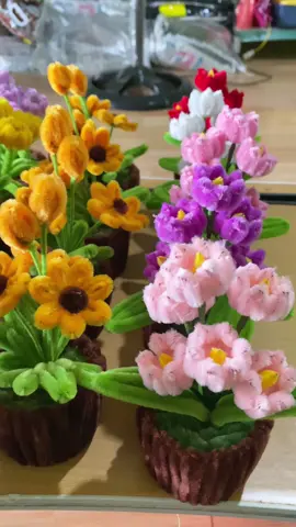 Đừng hối, từ từ sẽ đến lượt thui ạ. Chậu hoa kẽm nhung #hoakemnhung #chauhoakemnhungmini 