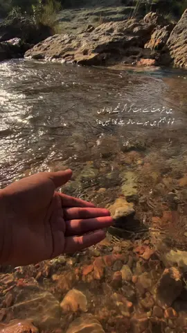 میں شریعت سے ہٹ کر اگر تجھے اپنا لوں تو تو جہنم میں میرے ساتھ جلے گا؟ نہیں نا؟ #Quotes #Travelwith_Haseeb #ExploreTheWorld #NatureVibes #Pakistan 