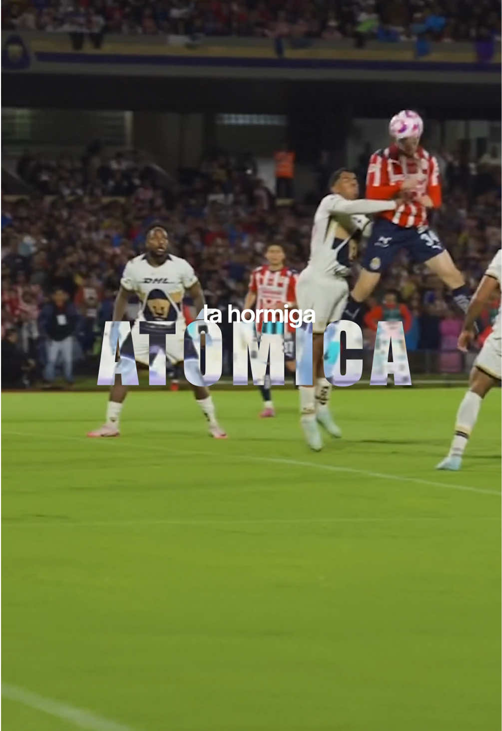 Denle apoyo a este pedazo de ft😮‍💨 #chivas #ligamx #futbol #hormiga #viral