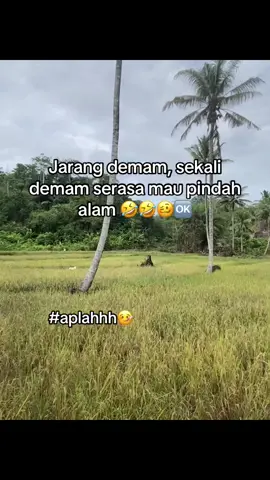 #fypge4 #demam🤒#menyala🔥 #fypシ゚viral🖤tiktok☆♡🦋myvideo 