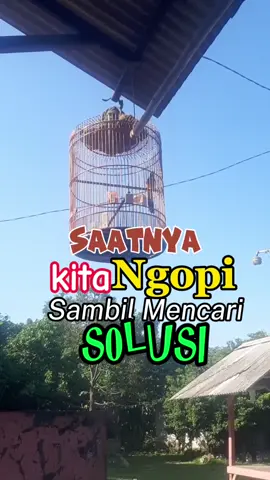 Saatnya Ngopi. Walaupun asam lambung naik 😂 #muraibatu  #ternakmuraibatukandangkotakgantung