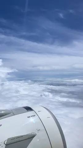 Cebu pacific Seat 11A Manila- Tacloban #fyp #cebupacific 