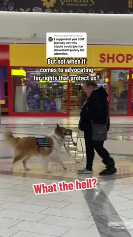 You can’t support my service dog’s training journey and not support the advocacy that allows this journey to even exist. 🐾 Advocacy is what keeps our rights protected under the ADA — it’s what ensures our dogs can accompany us safely, confidently, and without discrimination. Being an advocate for your service dog means standing up when boundaries are crossed, educating when ignorance arises, and refusing to let misinformation take space. Under the Americans with Disabilities Act (ADA), service dogs are legally allowed to accompany their handlers anywhere the public is allowed, and businesses are only permitted to ask two questions: 1️⃣ Is the dog required because of a disability? 2️⃣ What work or task has the dog been trained to perform? No paperwork. No certification. No forced disclosure of private medical information. Advocacy keeps us safe — not just for the handler, but for every legitimate service dog team that comes after. 💪 We do not, have not and never will condone any threats or harassment towards individuals featured within this post.  #servicedogs #viral #dogs #advocate #servicedog