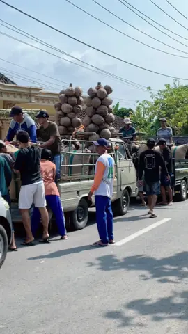 Wong tuban bagian sugih. #parengantuban #tuban #seserahanpernikahan 