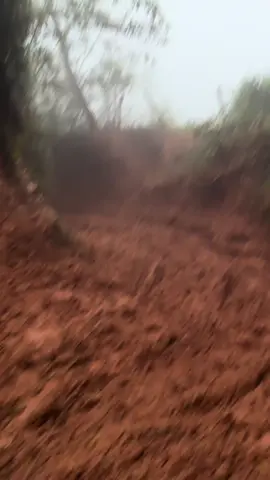 El codo a las eólicas hoy 🥴