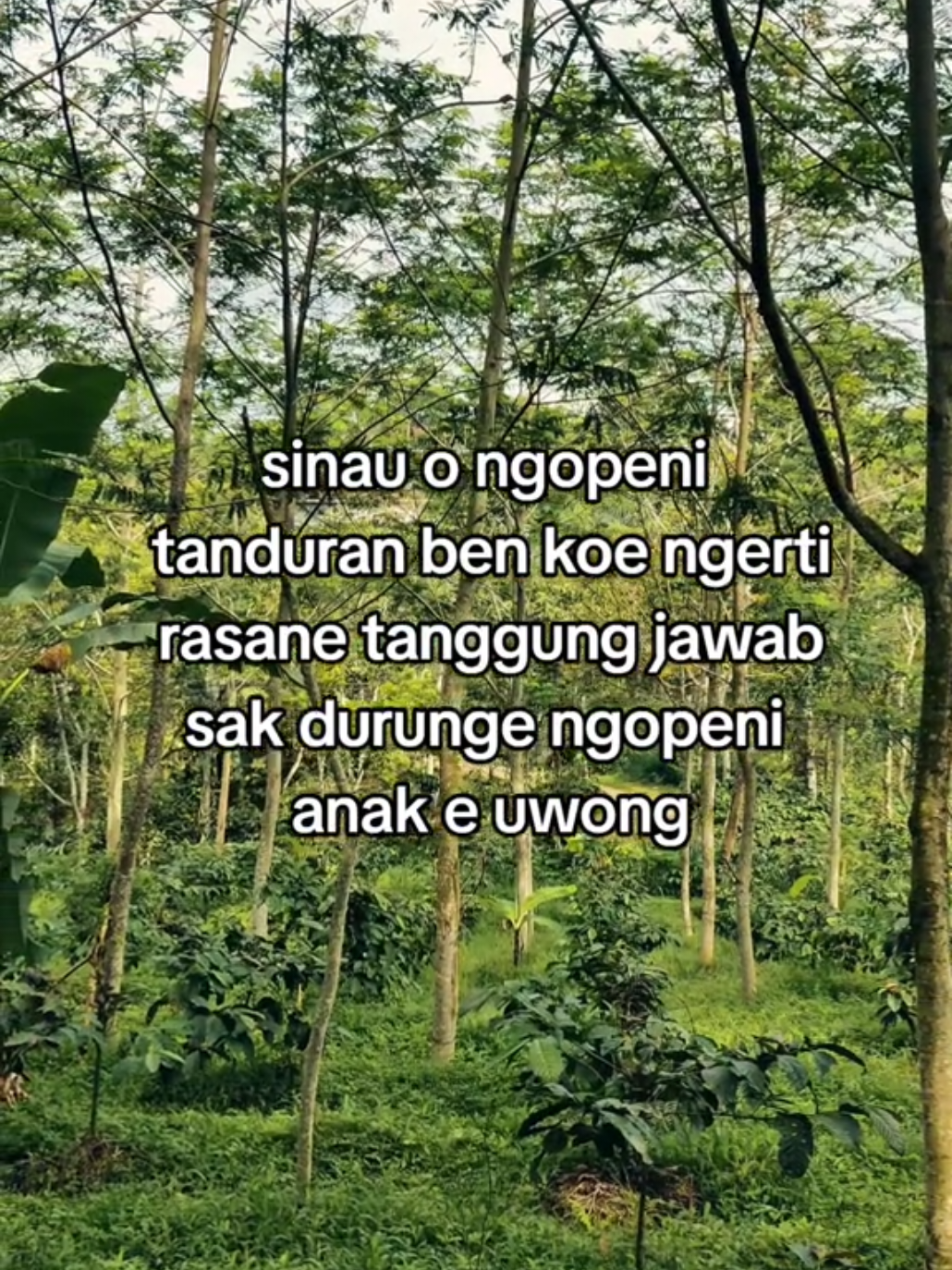 sinau nguripi ngadohi gengsi🌱 #kopi #petanimilenial #petanimillenial #petaniindonesia🇮🇩🇮🇩🇮🇩🌿🌿 #petanimuda #GenerasiBaruPetaniKopi #NgopiDariKebun #petanikopi #kopirobusta #robusta #petani #petanimodern  #FromFarmToCup #BerkebunBerkaryaBerkopi #Farmopi #journy 