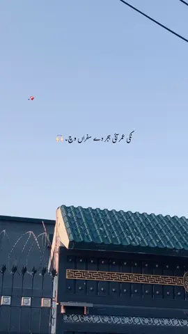 نکی عمر آئی ہجر دے سفراں وچ۔🥺🫶🏻💯🫂❤️‍🩹@𝙈𝘼-♛ #foryou #foryoupage #poetry #poetrystatus #unfreezmyaccout 