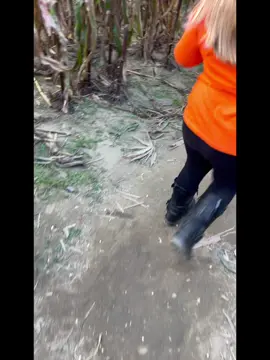 Great day with aviana! Went to visit dalton farms then went thrifting then dinner then carving pumpkins and dancing! My best friend! #bestfriend #pumpkinpatch #fallfestivities #friendsforever #granddaughter 