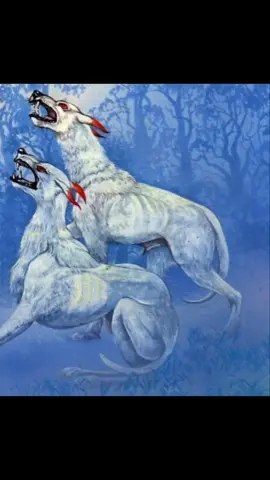 When the hounds of the Otherworld hunt, pray they don’t catch your scent.  #CwnAnnwn #WelshMythology #GhostStory #SamhainTales #GreatPlainsDruid 