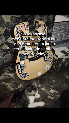 🎸x🐈#belajargitarpemula #bukangitaris #gitarcover #fyp #sadvibes 