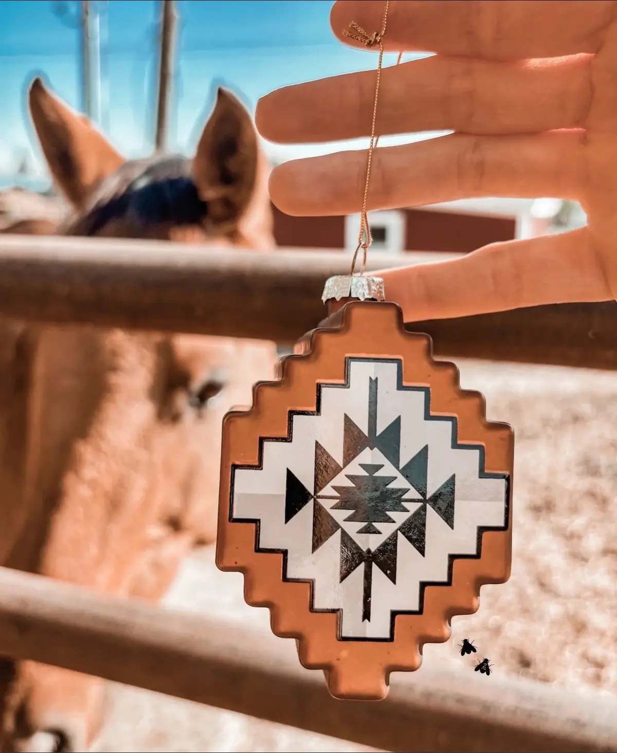 #western #westernstyle #fyp #westernchristmas #cowboy 