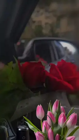 طـــيب الله صبــــــــــــاحكم بكل خير 🌹🌹#اصبحنا_واصبح_الملك_لله #اللهم_صباحا_مبشرا_بكل_خير #صباح_الخير #fup #foryoupage 