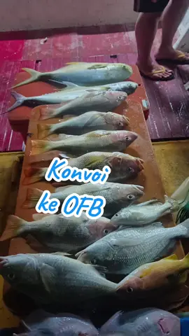 alhamdullilah barat sudah berlalu pergi cuaca A++ #CapCut  #tripmancingportklang  #onefanthombank 