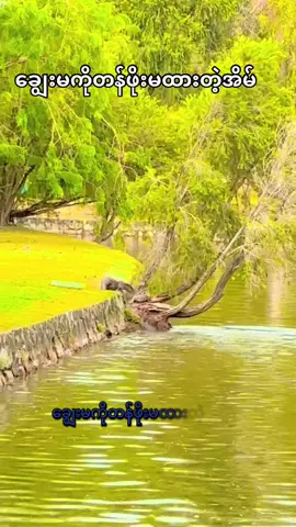 #tiktok #foryou #fyp #မူရင်းအသံပိုင်ရှင်အားcrdပေးပါတယ် @သုတ ရသ📒 @Korea_grandma @ROSÉ @JENNIE @NOSY SOA PARK  @A.B.C...(1.2M)  @A.B.C...(1.2M)  @A.B.C...(1.2M) 