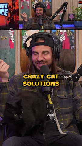 Crazy Cat Solutions w Craig and Ian 😂