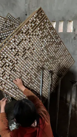 #viral #dautamtovietnam #xuhuong 