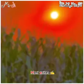 نا رسیا کر میری نئیں نبھدی 🥺۔#سنگت_ویڈیو_وائرل_کریسو_آپ_ہیں🥀🌼🙈✨🎇 #allahdittalonywala #اللہ۔دتہ۔لونے۔والا #جوگ_دا_شہنشاہ #chusmanharya 