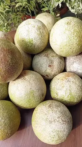 trái Quách nay đã chín rộ rồi nè anh chị muốn ăn thì mình tham khảo he#dacsanmientay #traiquach 