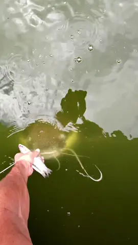 Watch till the end!😅@austin malvasio 