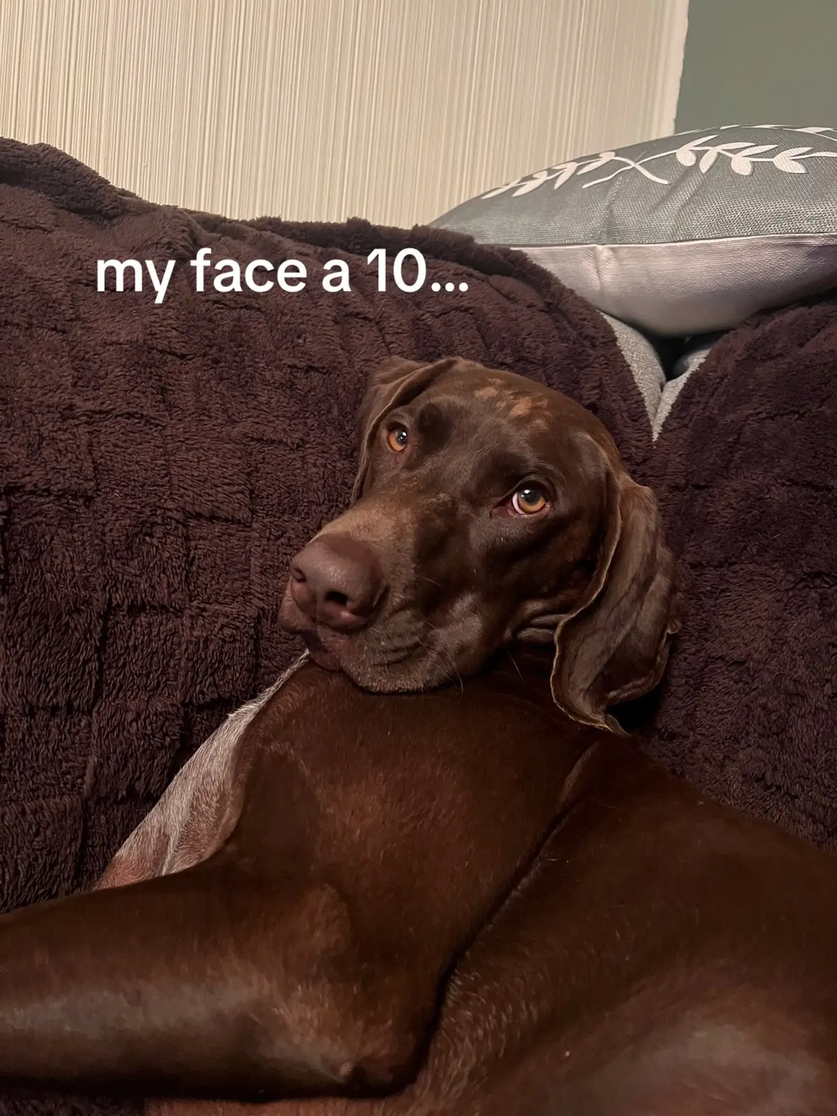 🔥🔥 • • #gsp #fyp 