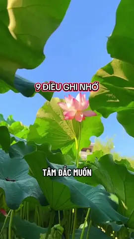 đừng bao giờ hối hận vì đã từng tốt với AI.#xuhuong 