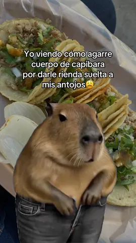 #Meme #MemeCut #humor #paratiiiiiiiiiiiiiiiiiiiiiiiiiiiiiii #😂😂😂 