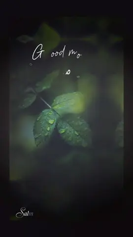 #شعب_الصيني_ماله_حل😂😂 #شعب_الصيني_ماله_حل #شعب_الصيني_ماله_حل😂😂😂 #ترند #ترندات_تيك_توك 