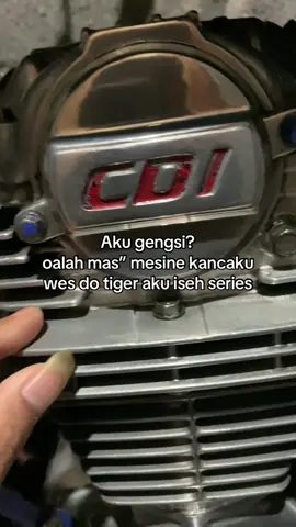 opoanane😇 #cb #cbglmptiger #cbrongsok #fyp 