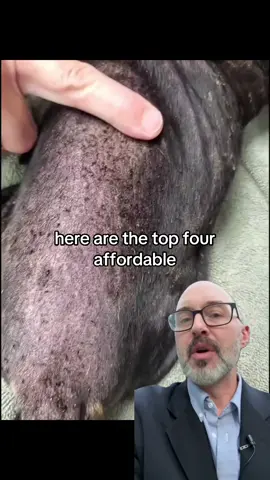 #dogskin #doghealth #dogfleas #veterinarian #usa 