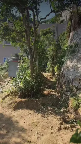 أللهم امين يارب العالمين ##CapCut 