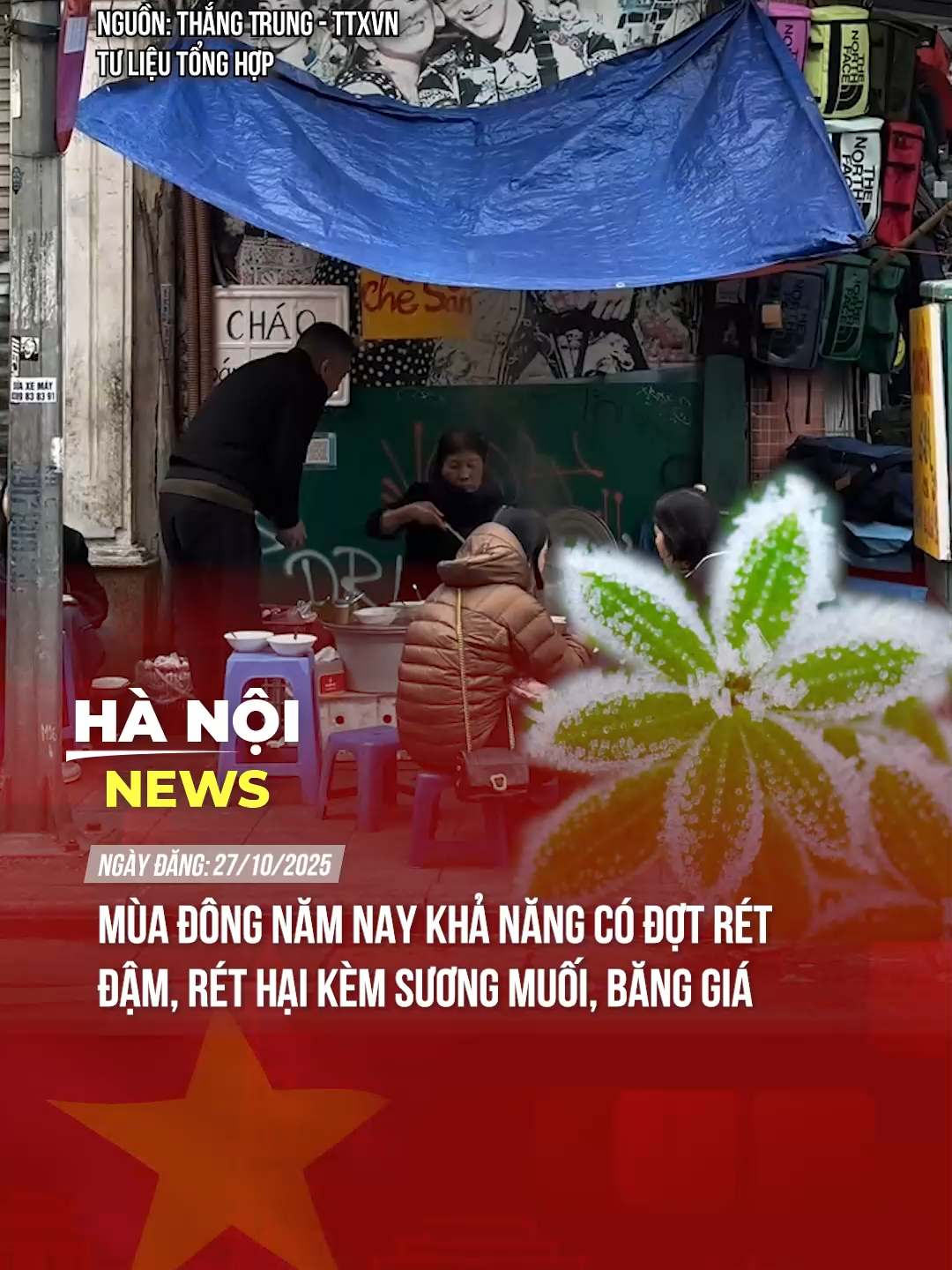 MÙA ĐÔNG NĂM NAY KHẢ NĂNG CÓ ĐỢT RÉT ĐẬM, RÉT HẠI KÈM SƯƠNG MUỐI, BĂNG GIÁ #theanh28 #tiktoknews #hanoinews