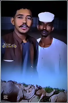 #شنابله_عزي_وفخري  #ام #زور #يازينة #السعيه 811🐪 @أبـو رابح الجـــراري  @مستشار الشنابلة✪  @غدرازمان امبراطور التراث 811  @جبريل8️⃣1️⃣1️⃣  الشنبلي🇸🇩✌️  @سلوم الشنبلي 💪🏾❤️  @قرشي الشنبلي 811  @,ًسنجك ,ًالشنبلي 811  @اسماعيل الشنبلي8️⃣1️⃣1️⃣᭄  @قصي الخير ✪  @الطاهر برعي الشنبلي811🦅  @حسن ودعصار 