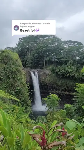 Respuesta a @lupemoraga6  #music #country #countrymusic  #fypシ 