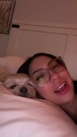 She’s sick of meee lol #fyp #shihtzu 