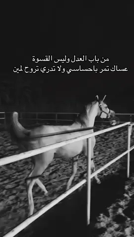 #خيل_وخياله🐎 #fyp #viral #اقتباسات #اكسبلورexplore 