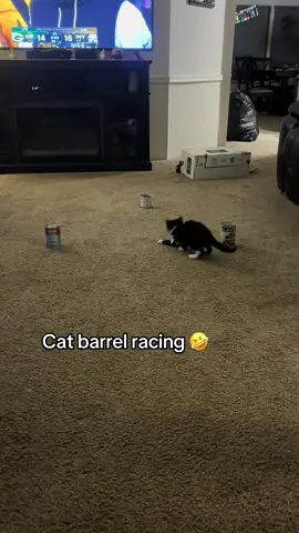 He got the pattern down, just needs to work on his turns 🤣#fyp #rodeo #barrelracing #kittensoftiktok #cats