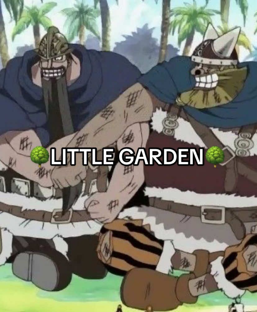 #onepiece #anime #otaku #review #opinion 