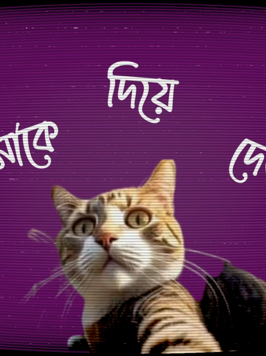 I Loveeeeeeee Youuuu🫶🫣#LyricsLines1 #fyp #foryou #foryoupage #trending @TikTok Bangladesh 