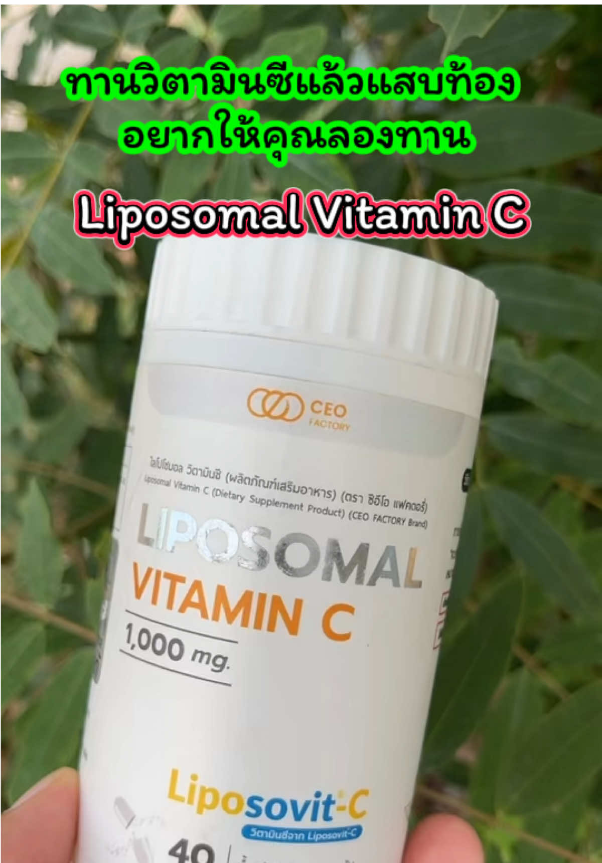 🍊 Liposomal Vitamin C (Liposovit-C) 🍊 💊 วิตามินซีรูปแบบใหม่ ดูดซึมดีกว่าวิตามินซีทั่วไป ✅ ทานแล้วไม่แสบท้อง ✅ ดูดซึมเข้าสู่เซลล์ด้วยเทคโนโลยี Liposomal ✅ เสริมภูมิคุ้มกัน ลดหวัดง่าย ฟื้นฟูร่างกายเร็ว ✅ วิตามินซีเข้มข้น 1,000 mg / เม็ด 📌 แนะนำ สำหรับคนที่เคยทานวิตามินซีทั่วไปแล้วแสบท้อง ต้องลองตัวนี้เลย! ⸻ #วิตามินซี #บำรุงสุขภาพ #เสริมภูมิคุ้มกัน #ของดีบอกต่อ #เจ้ฝนบอกพิกัด @เจ้ฝนบอกพิกัดของดี  @เจ้ฝนบอกพิกัดของดี  @เจ้ฝนบอกพิกัดของดี 