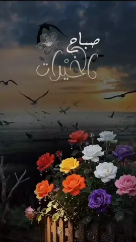 #اصبحنا_واصبح_الملك_لله #اللهم_صباحا_مبشرا_بكل_خير #دعاء_الصباح #fup #foryoupage 