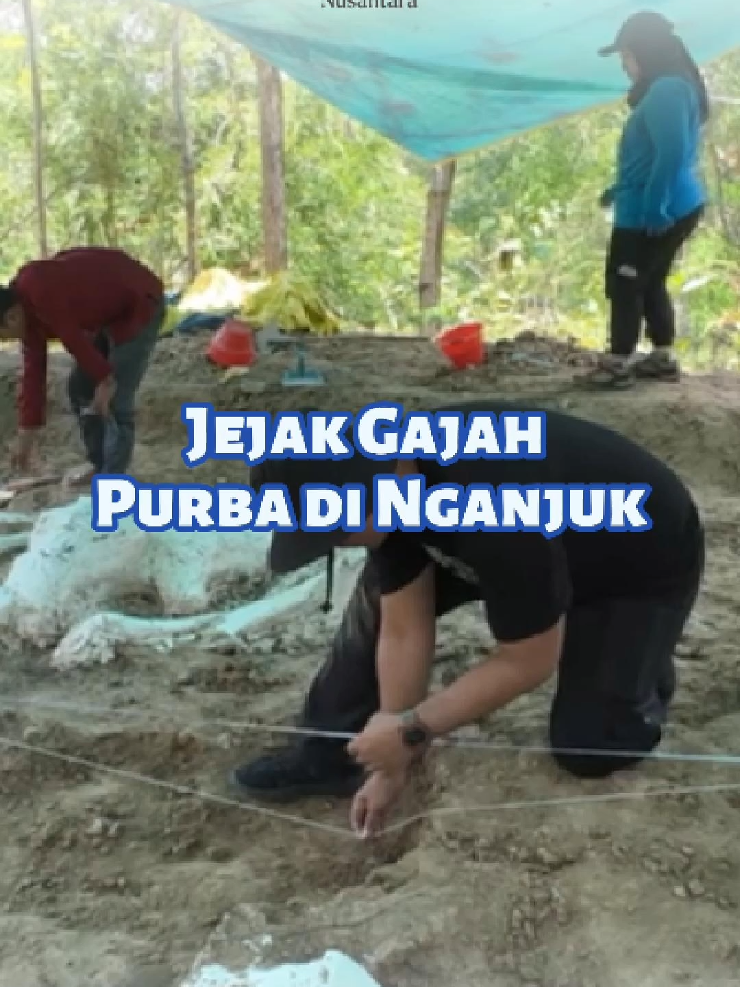 Jawa Timur tak hanya kaya budaya, tapi juga kaya jejak sejarah alam yang luar biasa 🔥  @pemprovjatim#JatimHebat #jatimgotongroyong #JatimSejahtera  #jatimtebarmanfaat #nawabaktisatya #mendukungastacita  #sinergimembangunnegeri #viral #fyp #pemprovjatim  #pemprofjatim #gerbangbarunusantara #PemprovJatimPeduli  #jatimsejahtera #JatimPeduli #JatimNyataKerjanya
