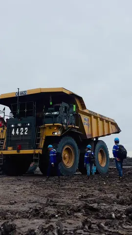Goyangin #janda #tambangbatubarakalimantan #tambangbatubara #fypシ゚viral 