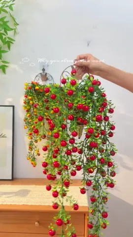 chùm quả treo tường decor xinh lắm ạ 😍#decor #trangtri 