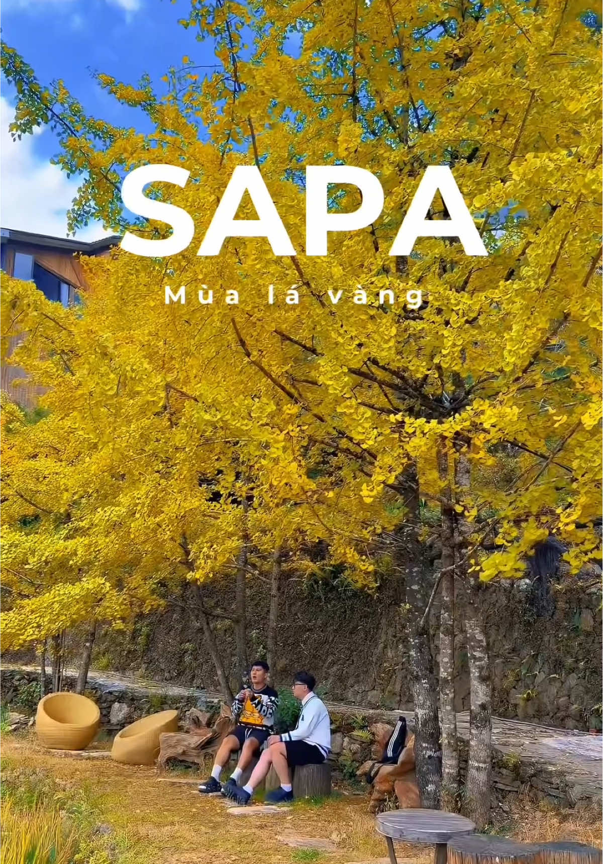 Chỉ còn khoảng 1 tuần nữa thui là lá ở SaPa bắt đầu vàng đẹp rùi. Mọi người dự định đi SaPa thì lưu ngay địa điểm này vào nha 🫶🫶 #homesworld #sapa #dulichsapa #checkinsapa #sanmaysapa 