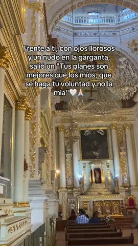 #paratiiiiiiiiiiiiiiiiiiiiiiiiiiiiiii #fe🤍 #dios🤍✨ #pazmental #videoviral a tu manera siempre mi dios 🤍🙏🏻